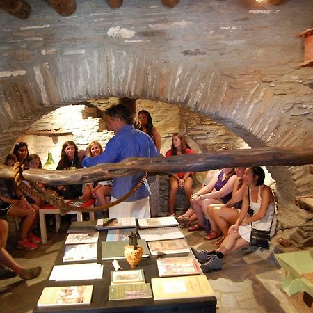 Cyclades Olive Museum'S Guest House Pitrofos المظهر الخارجي الصورة